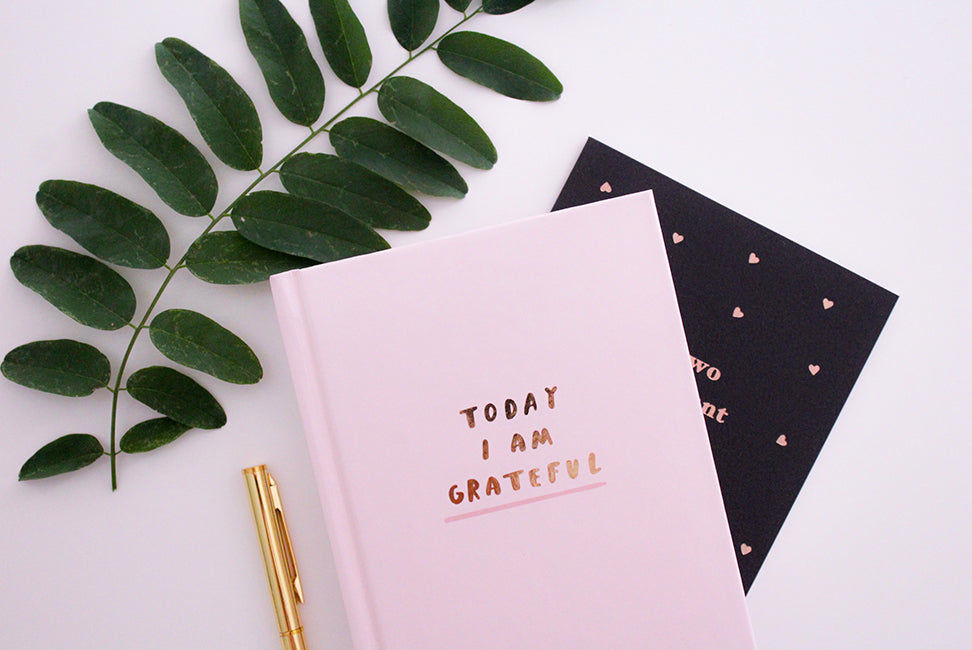 Finding Moments For Gratitude Daily as a Parent