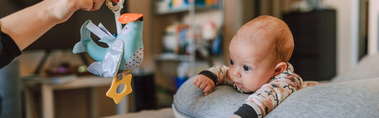 Best Baby Toys 0-6 months: For development and gift ideas