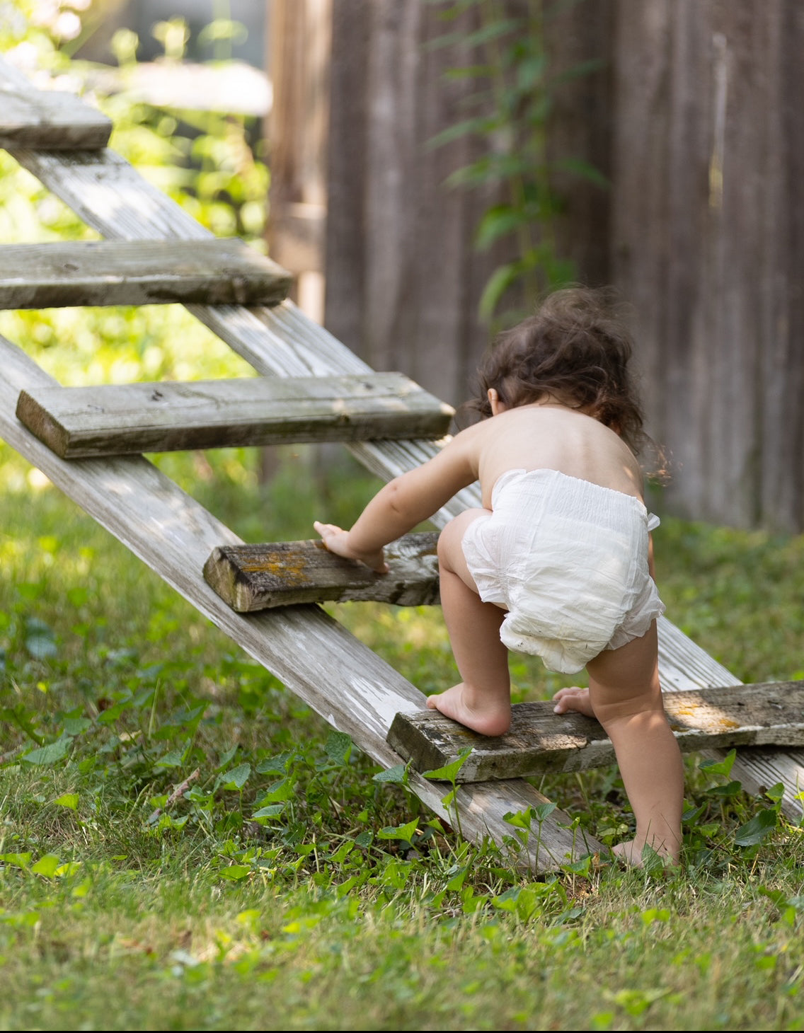How to Celebrate Earth Day as a Family